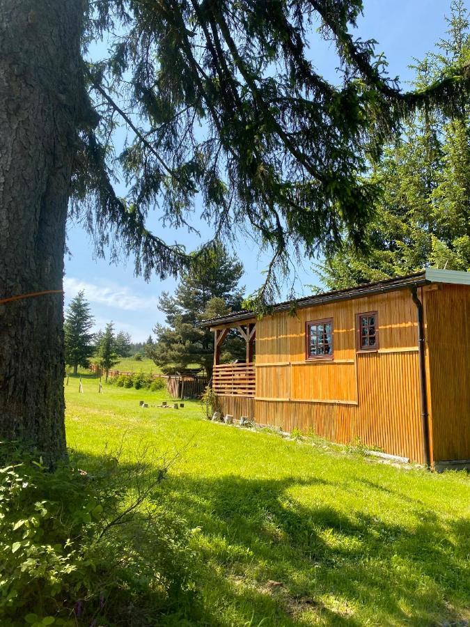 Cottages Of Nisici サラエヴォ エクステリア 写真